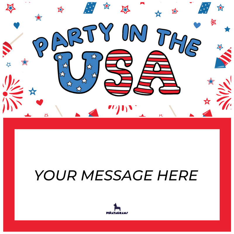 Party in the USA