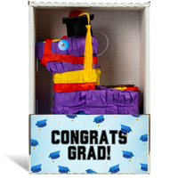 Congrats Grad Pinatagram