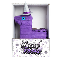 Hocus Pocus Witch
