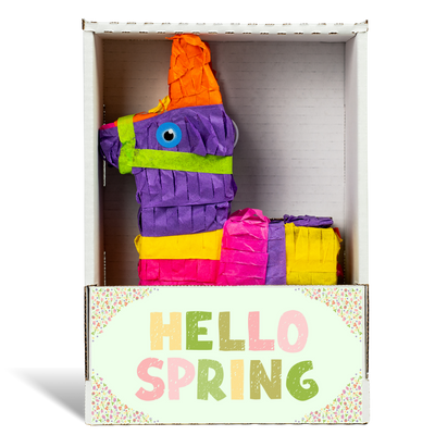 Hello Spring Floral Piñatagram