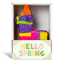 Hello Spring Floral Piñatagram