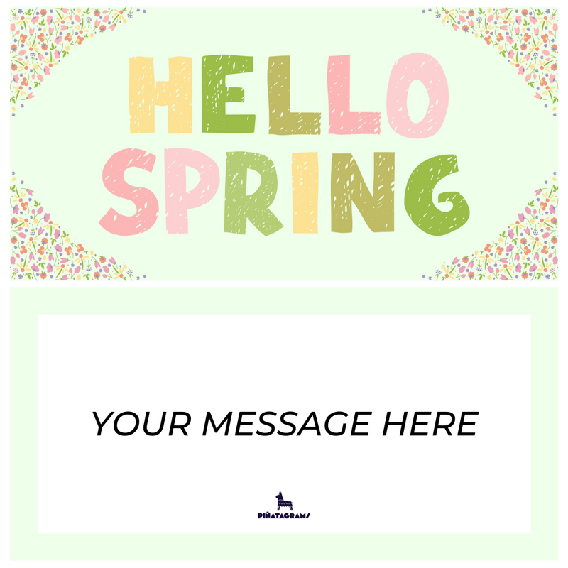Hello Spring Floral Piñatagram