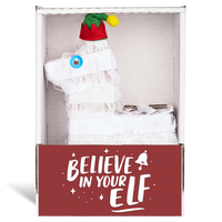 Believe in Your Elf