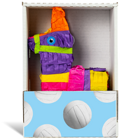 Volleyball Piñatagram