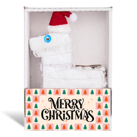 Merry Christmas Santa Hat