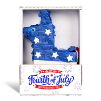 Fourth of July Piñatagram