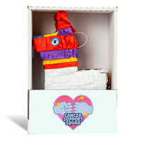 Cancer Support Squad Piñatagram