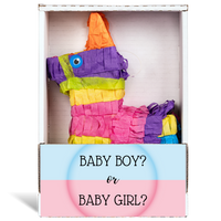 Baby Boy or Baby Girl Piñatagram
