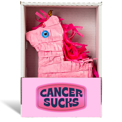 Cancer Sucks Piñatagram
