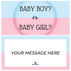 Baby Boy or Baby Girl Piñatagram