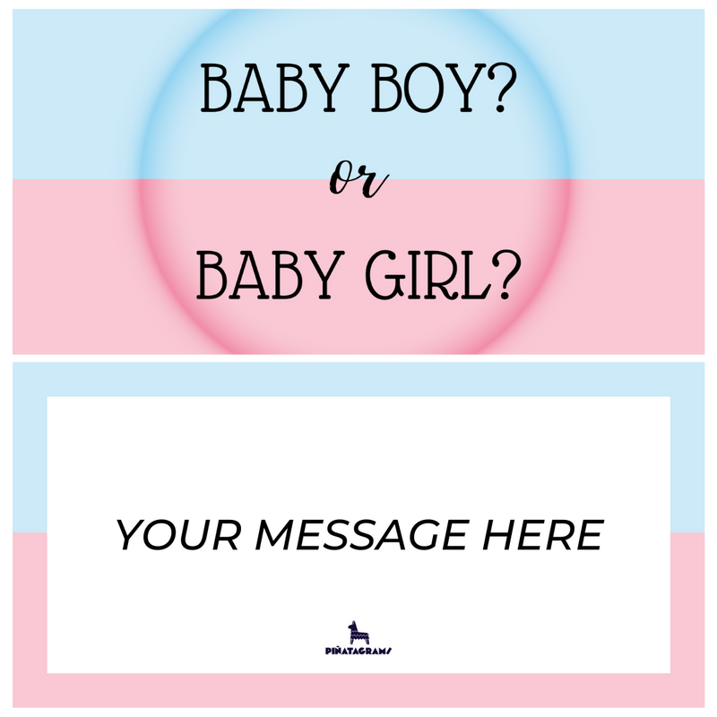 Baby Boy or Baby Girl Piñatagram