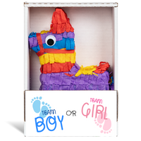 Team Boy or Girl Piñatagram