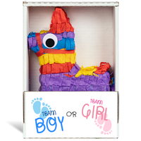 Team Boy or Girl Piñatagram
