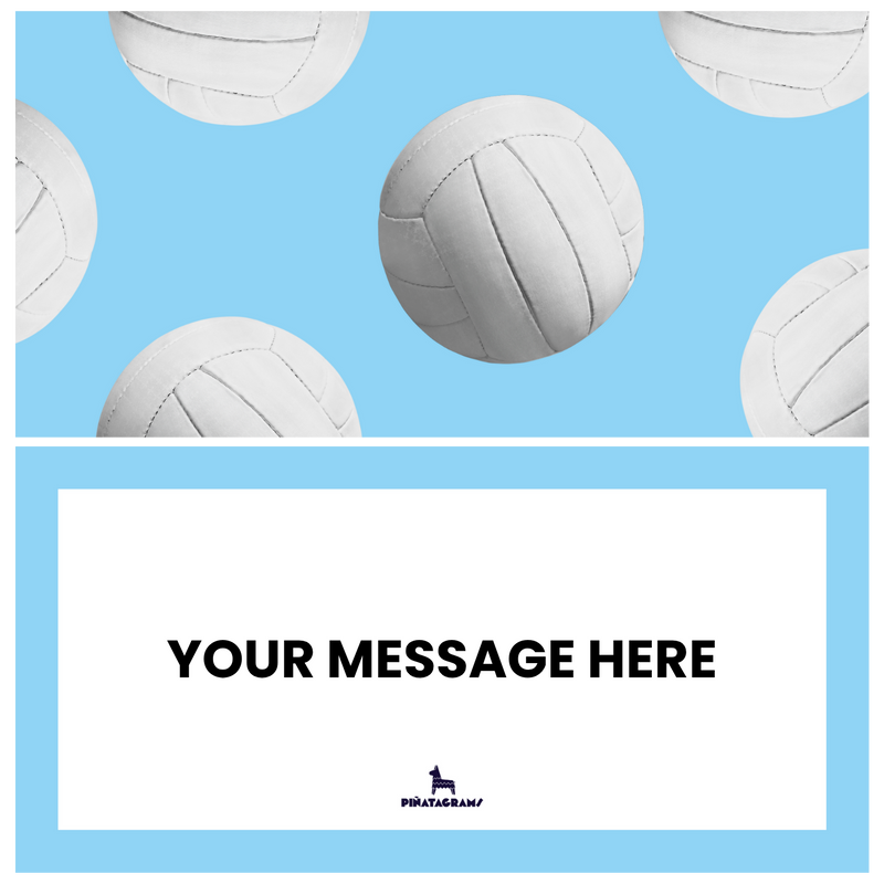 Volleyball Piñatagram