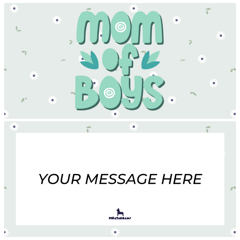 Mom of Boys Piñatagram