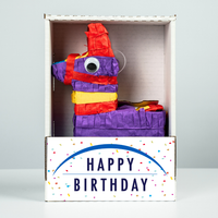 Bertram Birthday Piñatagram