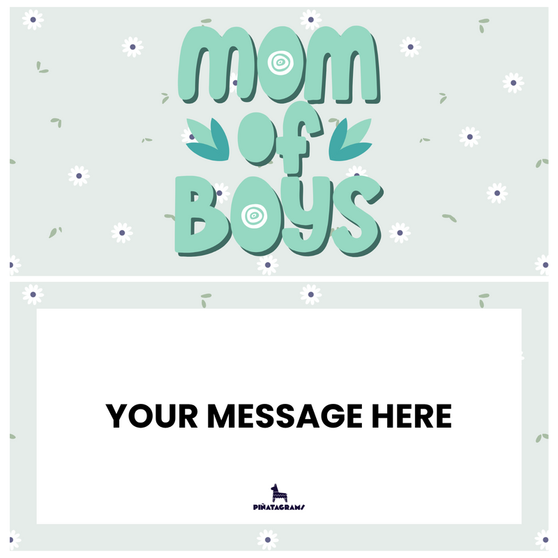Mom of Boys Piñatagram