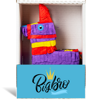 Big Bro Piñatagram