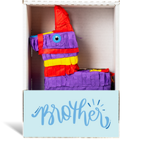 Brother Piñatagram