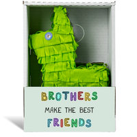 Brothers Make the Best Friends Piñatagram