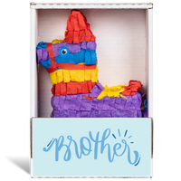 Brother Piñatagram