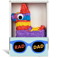 Rad Dad Piñatagram