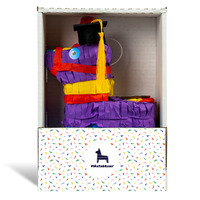 Graduation Piñatagram