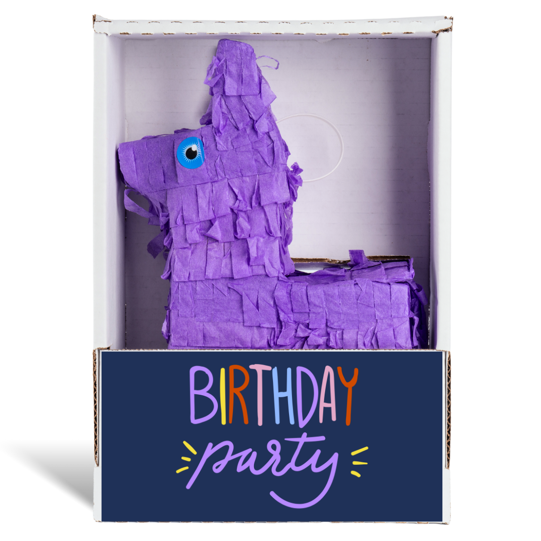 Birthday Party Piñata Gift | Candy by Mail - Piñatagrams