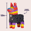 Groom Piñatagram