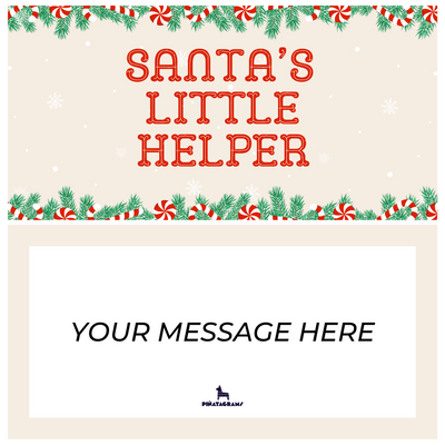 Santa's Little Helper Piñatagram