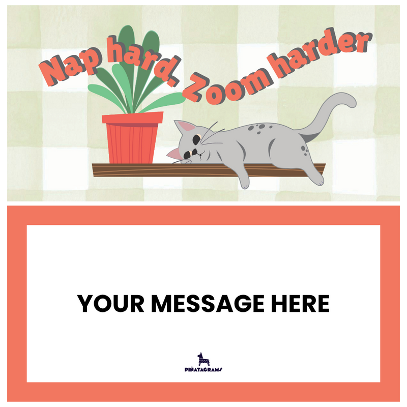 Nap Hard, Zoom Harder Catyata (Cat Treats)