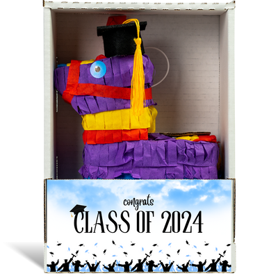 Class of 2024 Piñatagram
