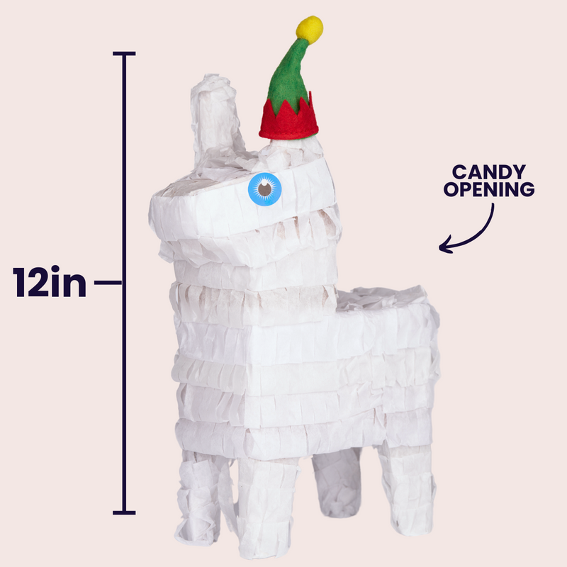 Warm Wishes Christmas Elf