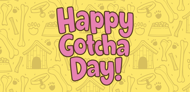 Happy Gotcha Day (Dog Treats)