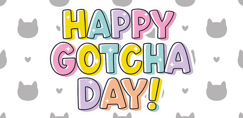 Happy Gotcha Day (Cat Treats)