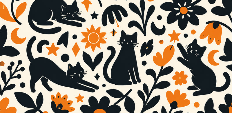 Black Cats