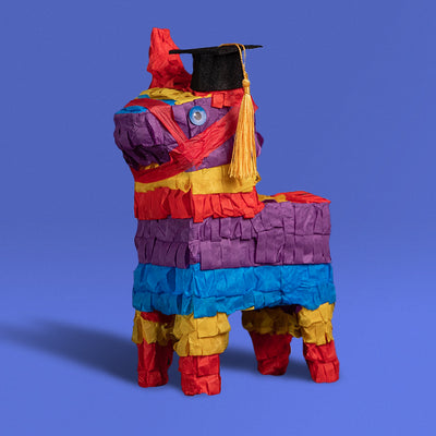 Graduation Piñatagram